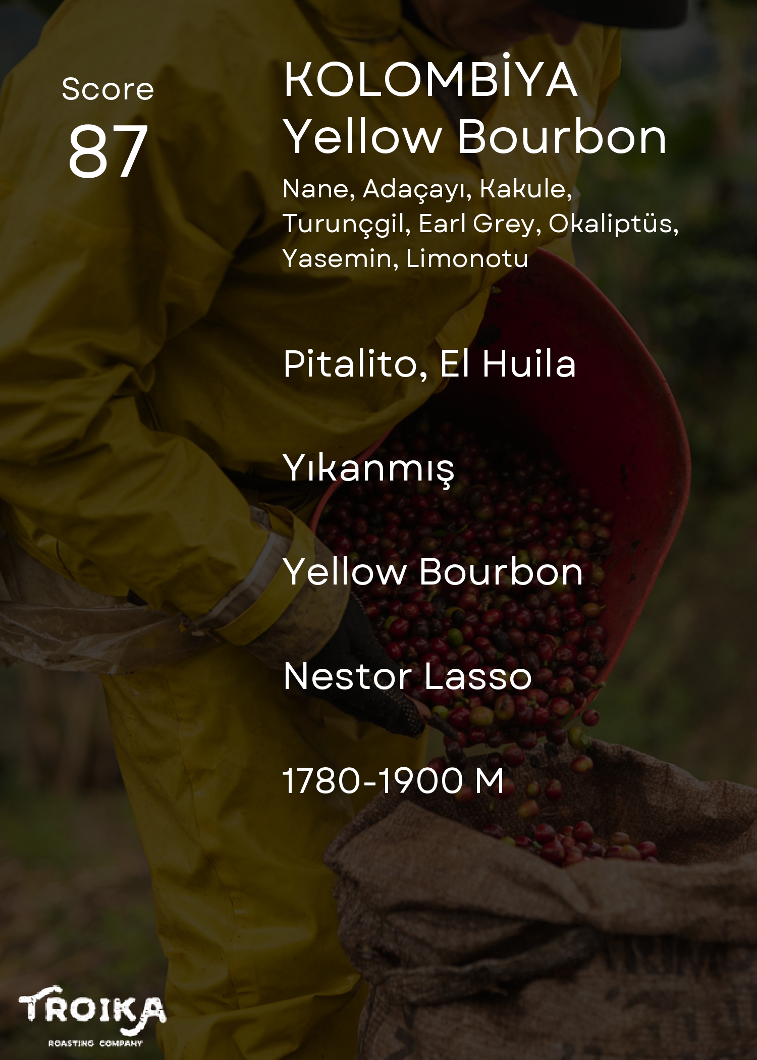 COLOMBIA - Finca El Diviso - Yellow Bourbon 250 Gram