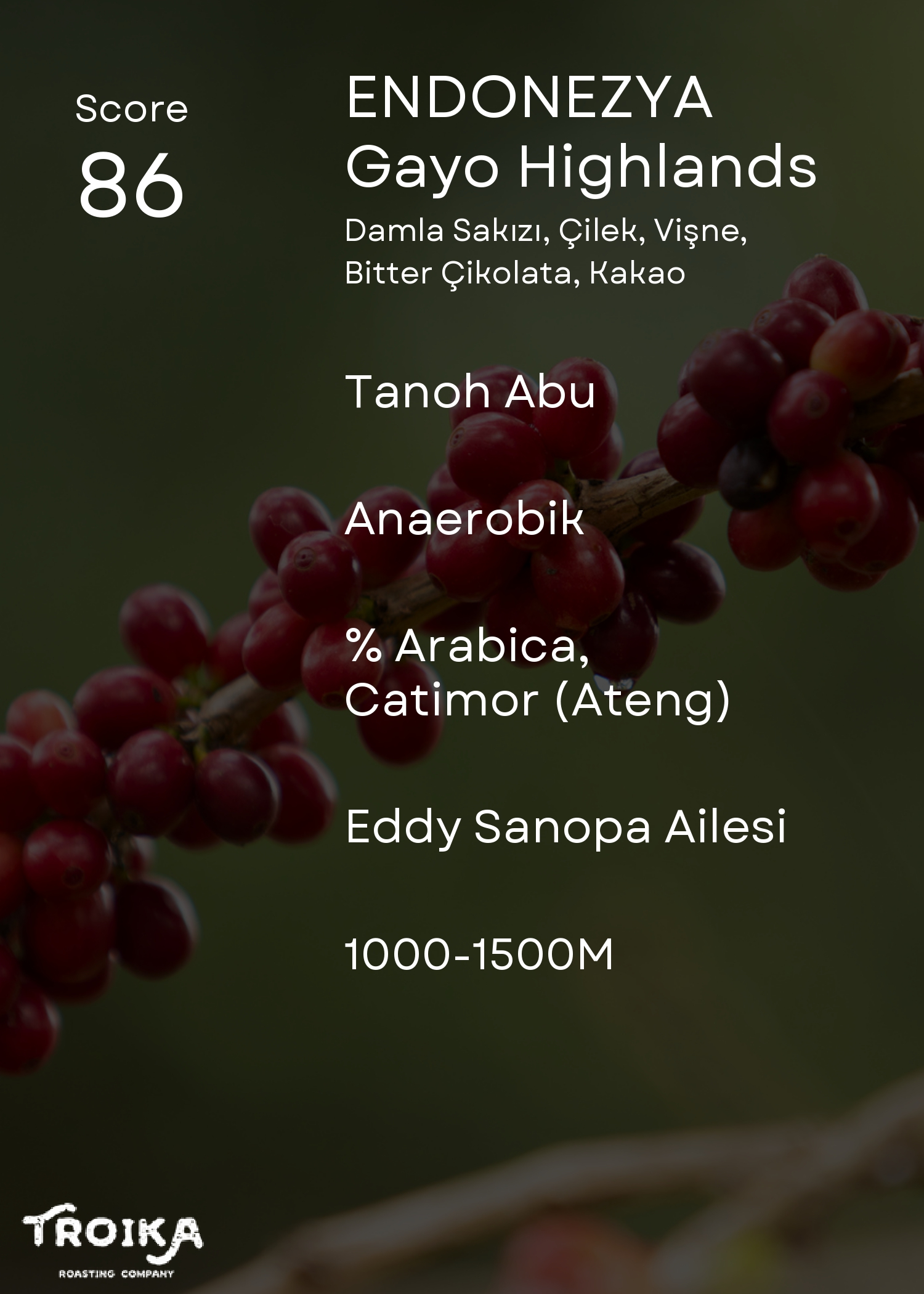 INDONESIA - Gayo Highlands - ANAEROBIC -250 Gram
