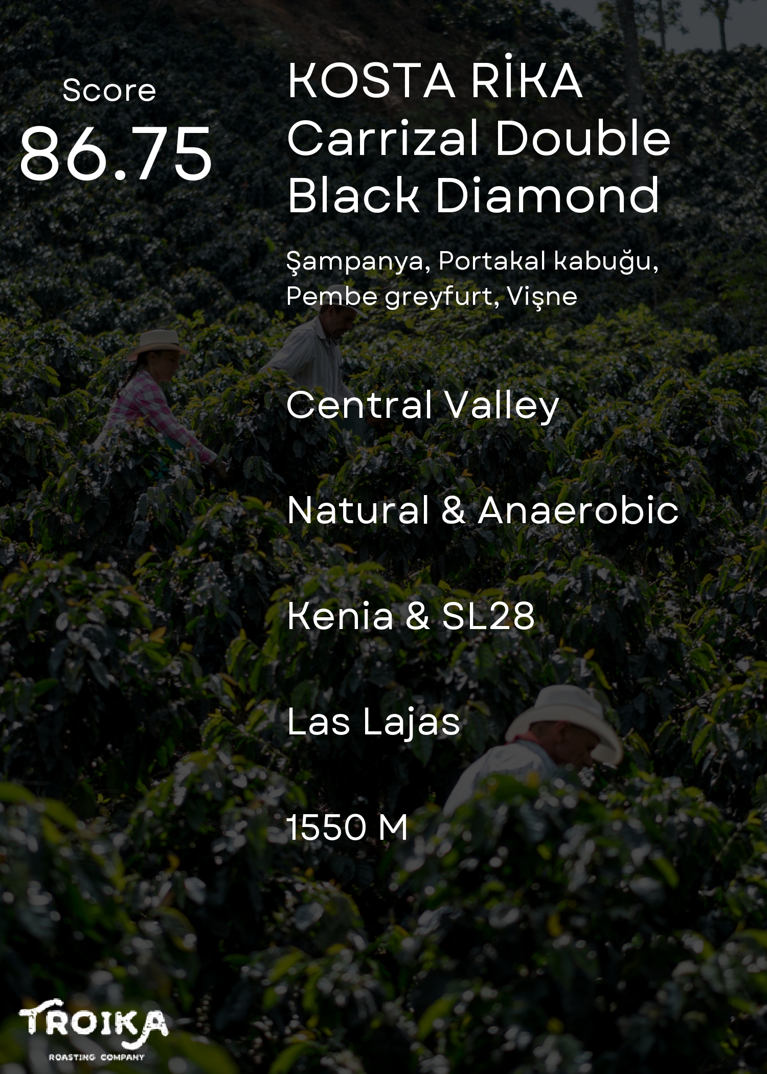 COSTA RICA - Carrizal Double Black Diamond 250 Gram